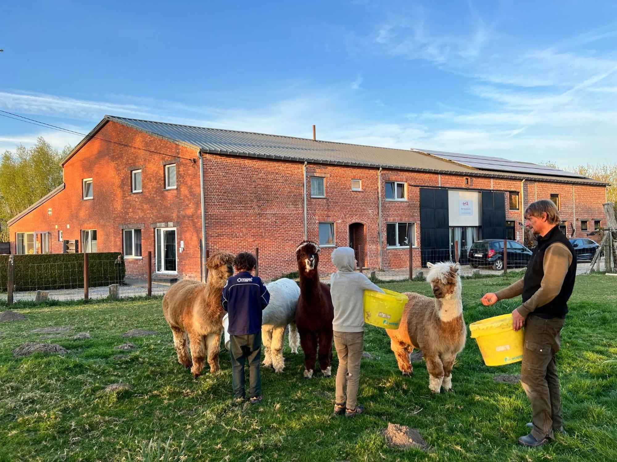 De Smishoeve Met Kinderpret, Dieren En Wellness Heers エクステリア 写真