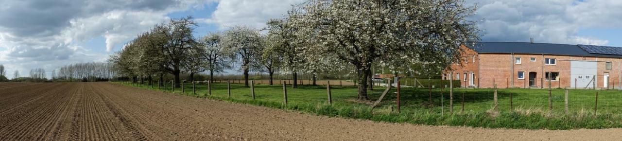 De Smishoeve Met Kinderpret, Dieren En Wellness Heers エクステリア 写真