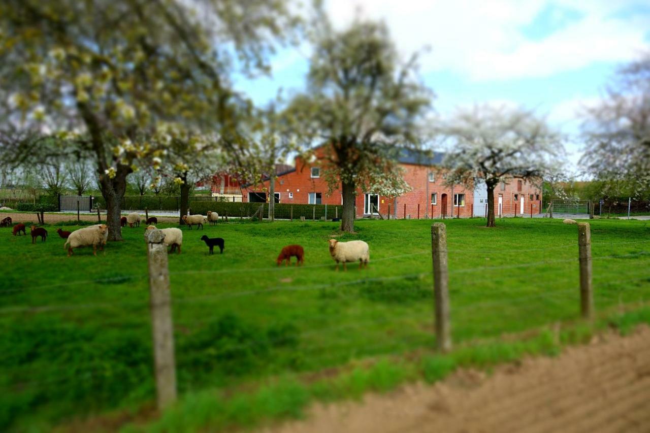 De Smishoeve Met Kinderpret, Dieren En Wellness Heers エクステリア 写真